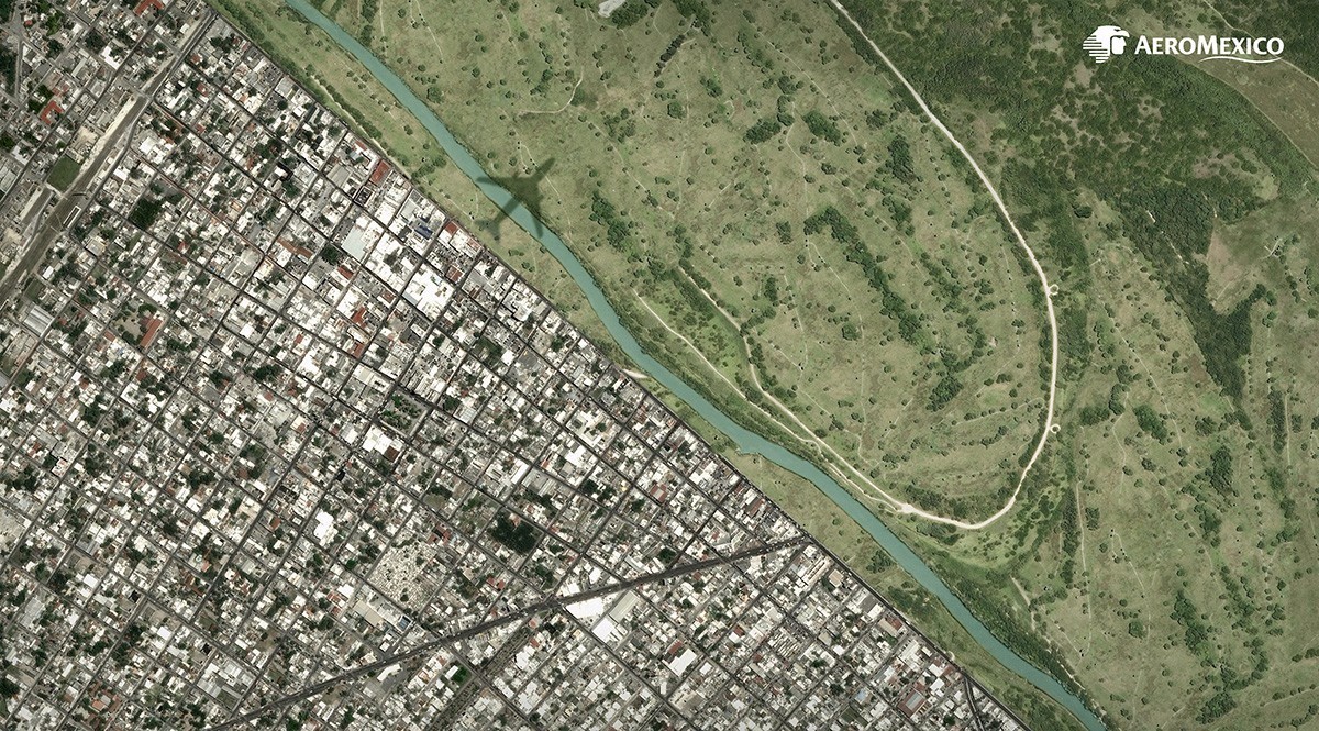 戛纳收割机奥美，今年斩获了139座狮子【获奖作品精选】