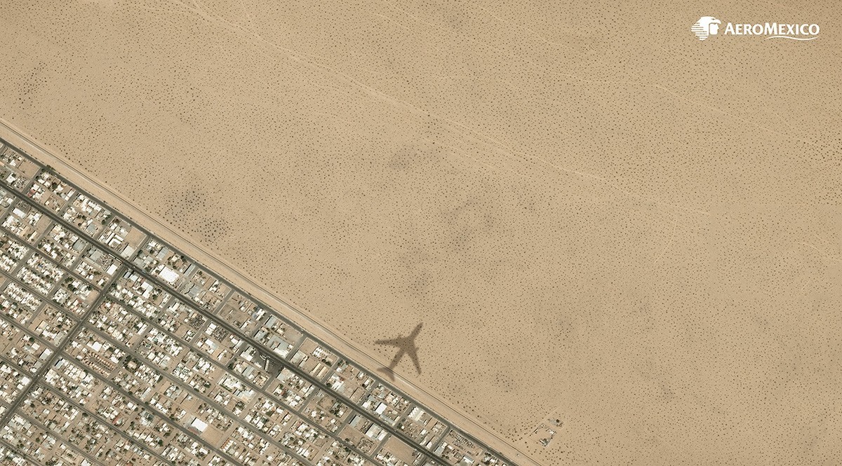 戛纳收割机奥美，今年斩获了139座狮子【获奖作品精选】