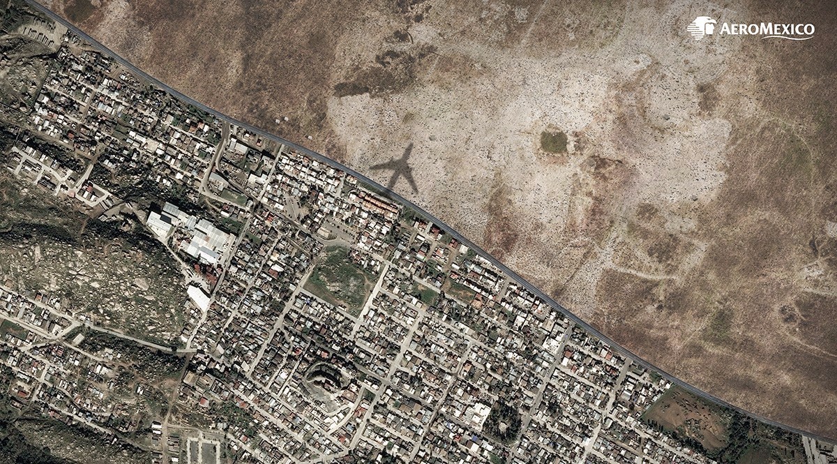 戛纳收割机奥美，今年斩获了139座狮子【获奖作品精选】