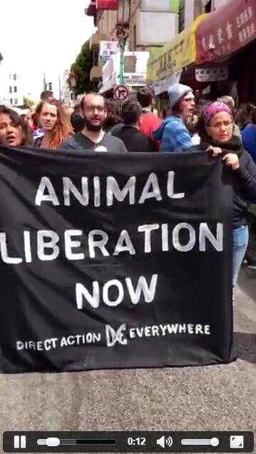 腾讯公益H5“小朋友的画廊”，刷爆朋友圈的5个关键词