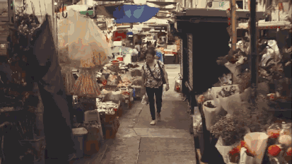 五只超萌柴犬带你游香港，看完血槽已空！