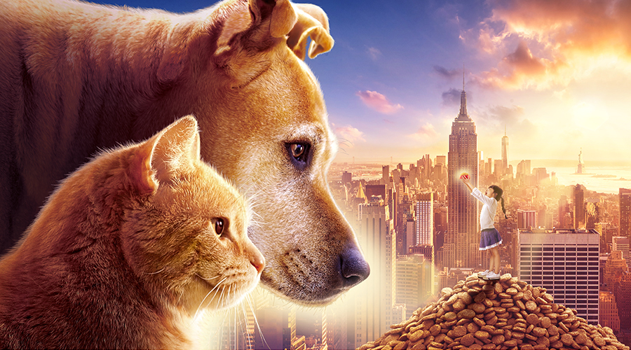 突发新闻巨型猫狗在北美引发恶性破坏事件真相居然是