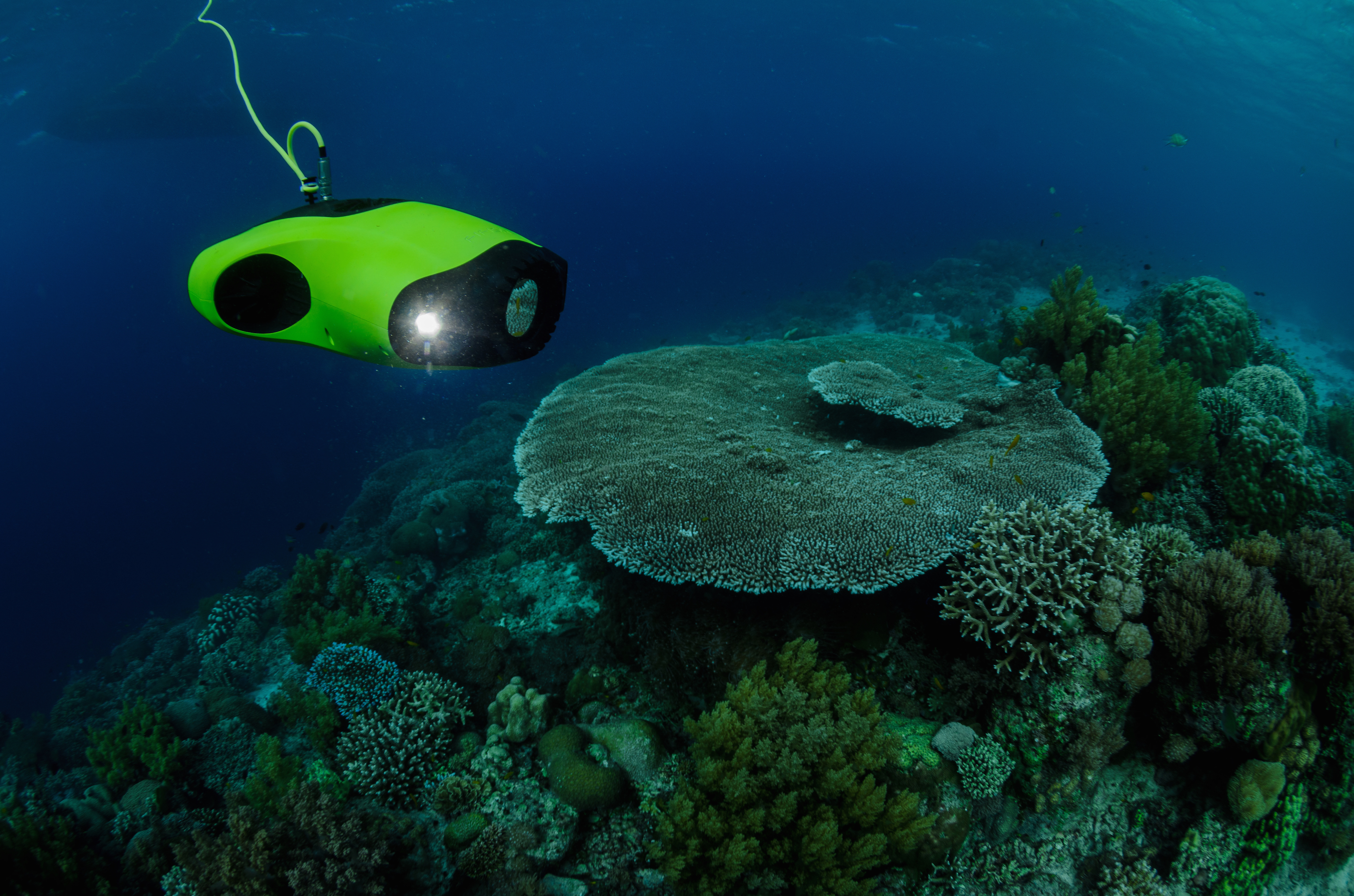 fifish水下机器人为海洋探索代言