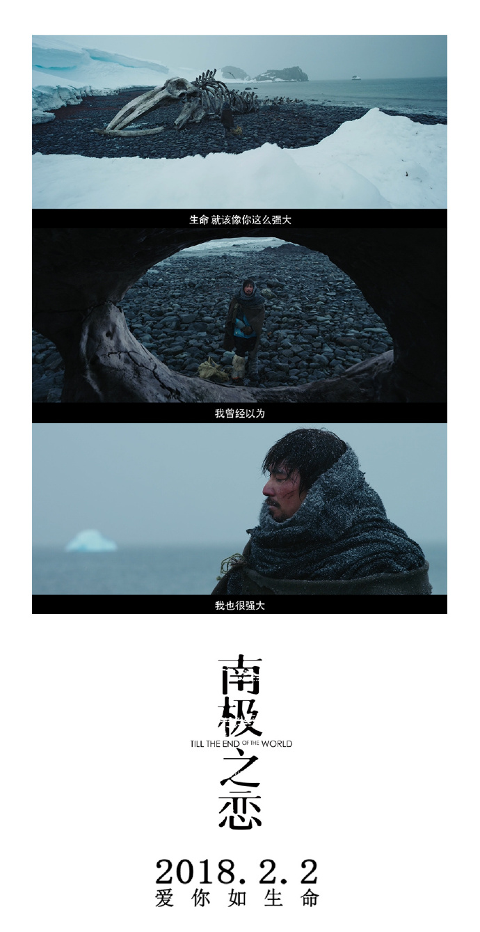 南极之恋海报图片图片