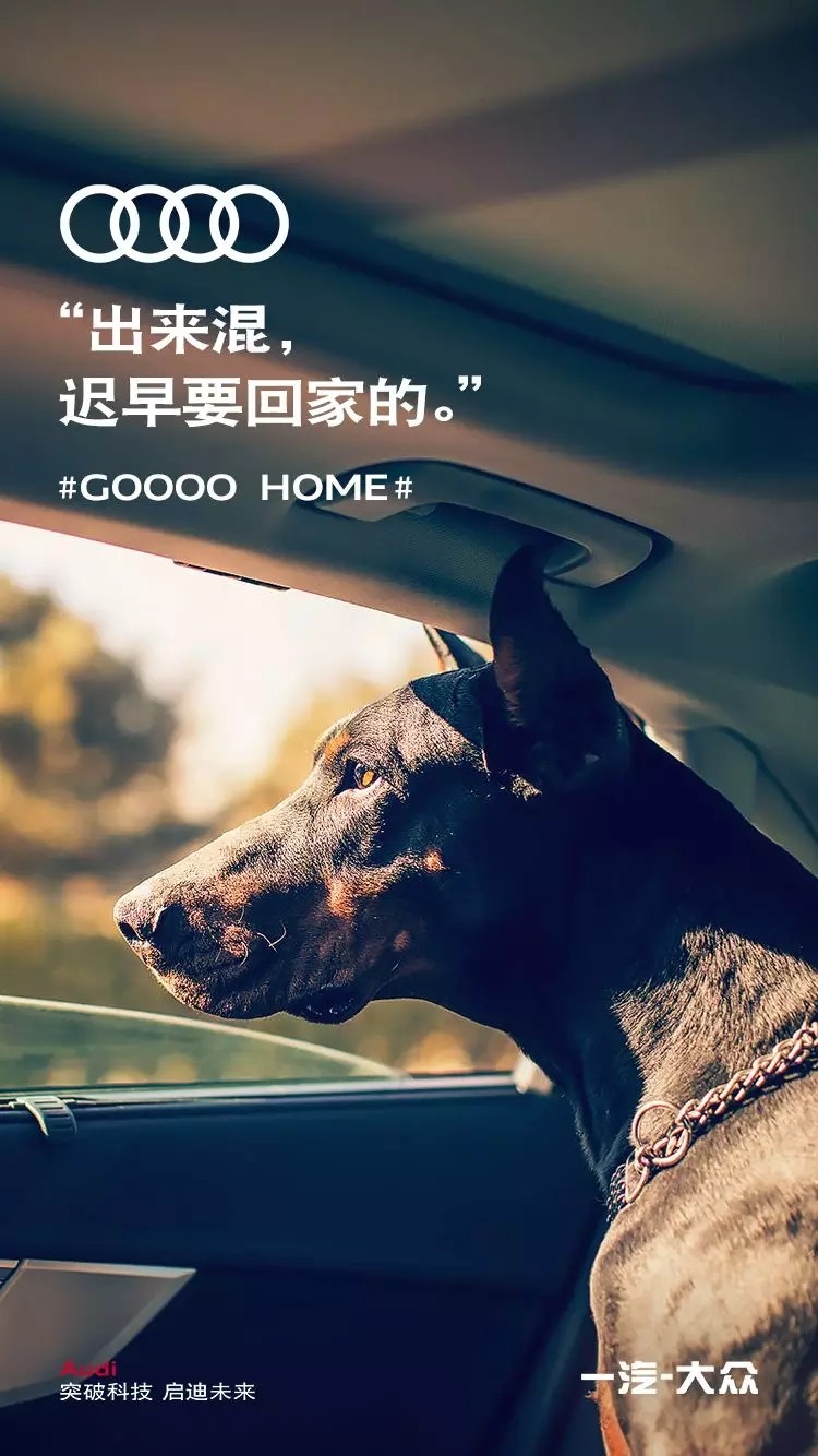 µϿϷһ#GooooHome#ʲô飿