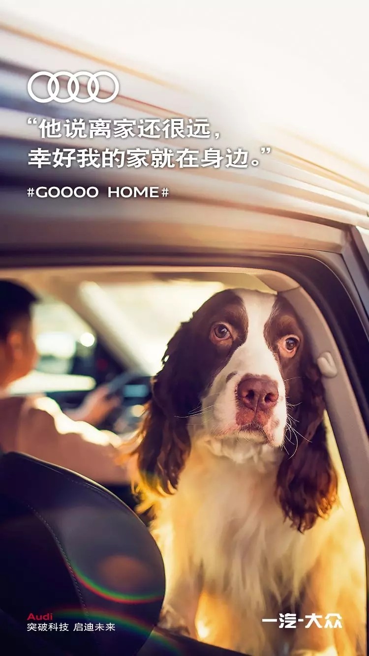 µϿϷһ#GooooHome#ʲô飿