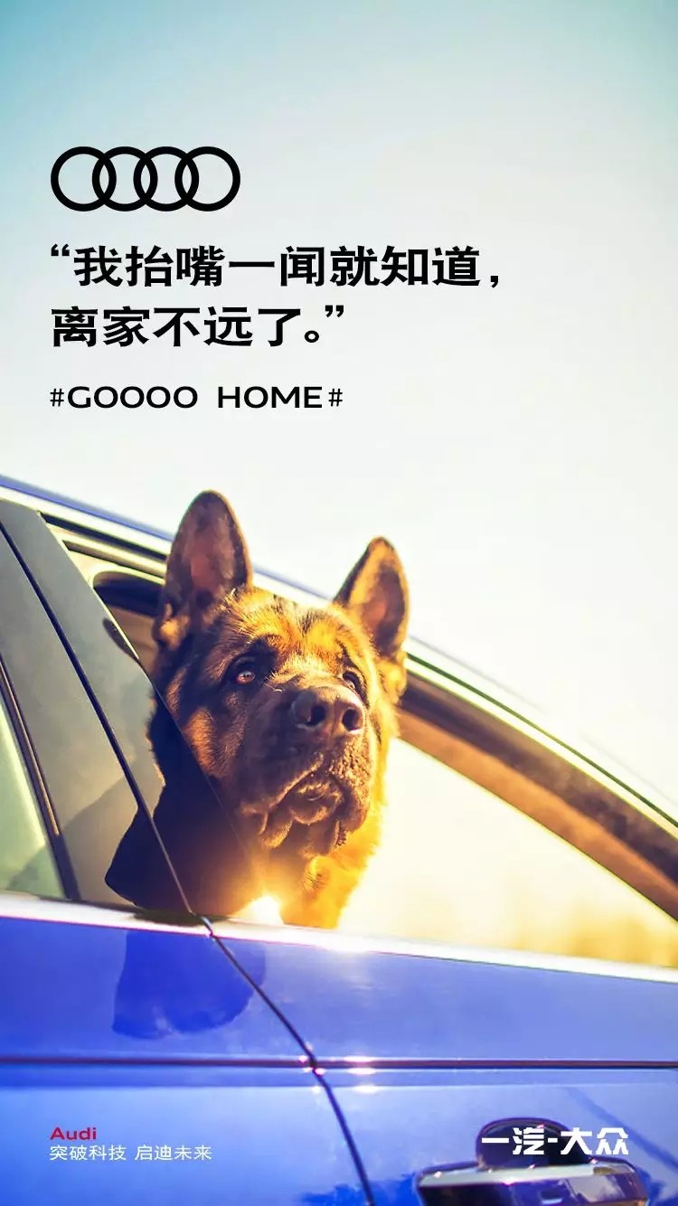 µϿϷһ#GooooHome#ʲô飿
