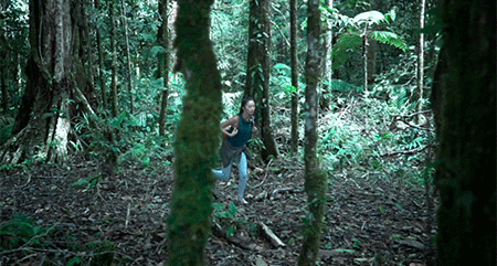8.gif