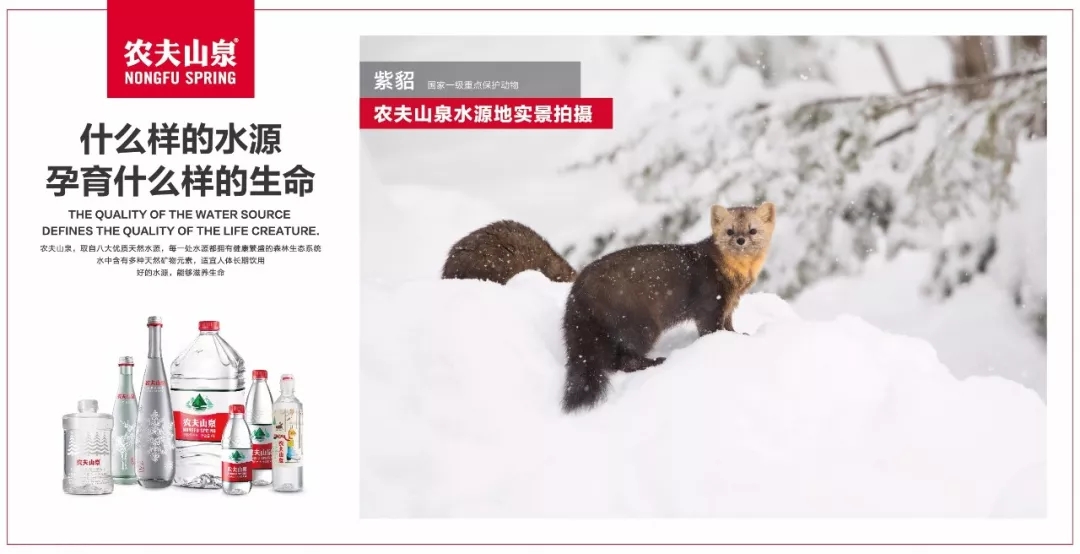 农夫山泉用森林中生灵万物的视角拍了一支广告! 农夫山泉用森林中生灵万物的视角拍了一支广告!