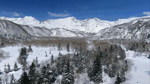 农夫山泉用森林中生灵万物的视角拍了一支广告! 农夫山泉用森林中生灵万物的视角拍了一支广告!