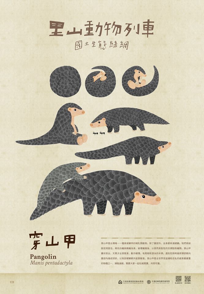 台铁换新装,穿山甲,草鸮领头的里山动物列车发车了!