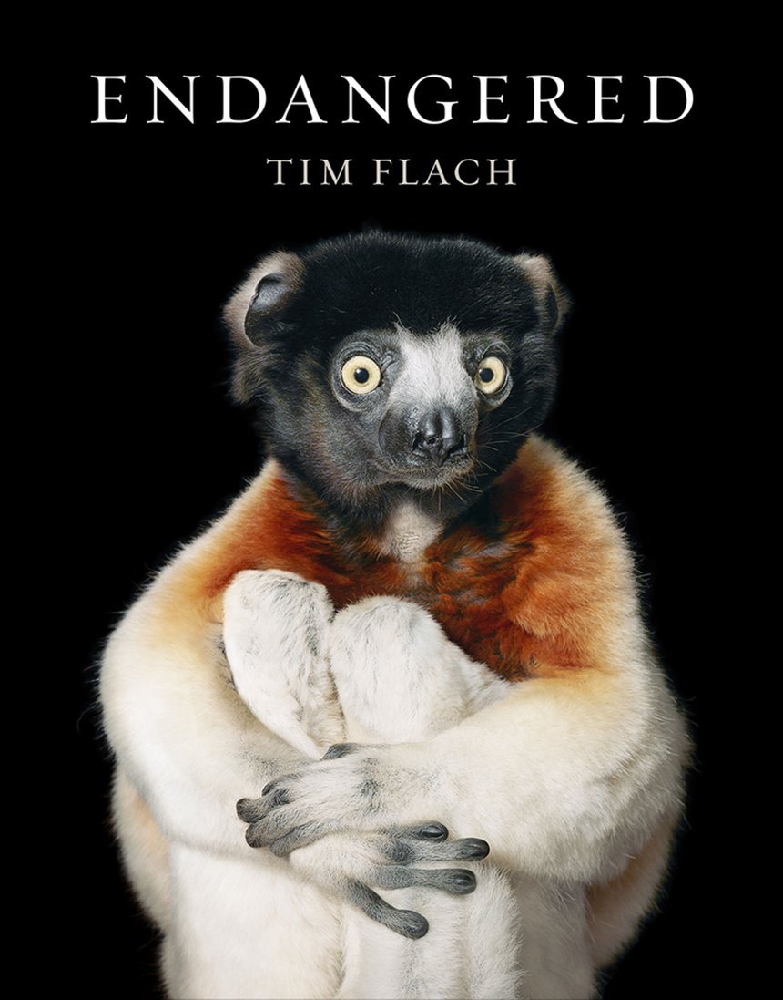 timflach用充满人性的动物肖像唤起怜悯之心