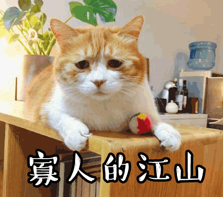 440_390gif 动态图 动图