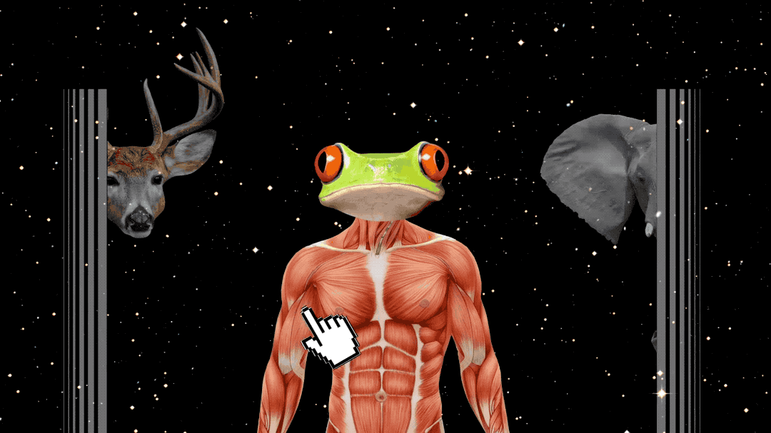 1080_607gif 动态图 动图