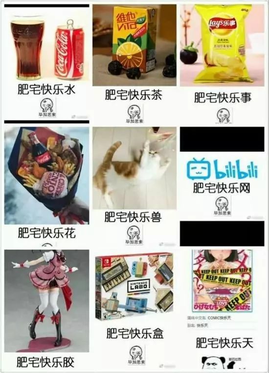 肥宅快乐水(可乐),肥宅快乐兽(猫),肥宅快乐事(乐事),肥宅快乐茶(维