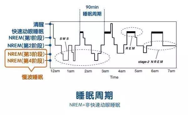 年纪越大脑力越差?你需要这10个好习惯 - 数英