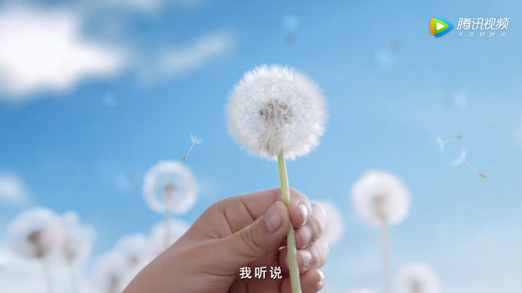 Platinum × 杨洋:一起探秘《铂金蒲公英的传说》 Platinum × 杨洋:一起探秘《铂金蒲公英的传说》