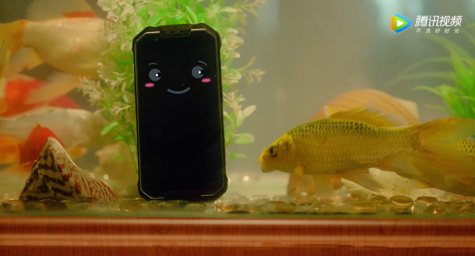 场景一:泡鱼缸 爷爷的手机在打电话时不慎落入水