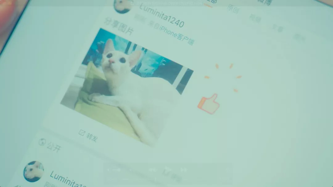 èǲèˣ