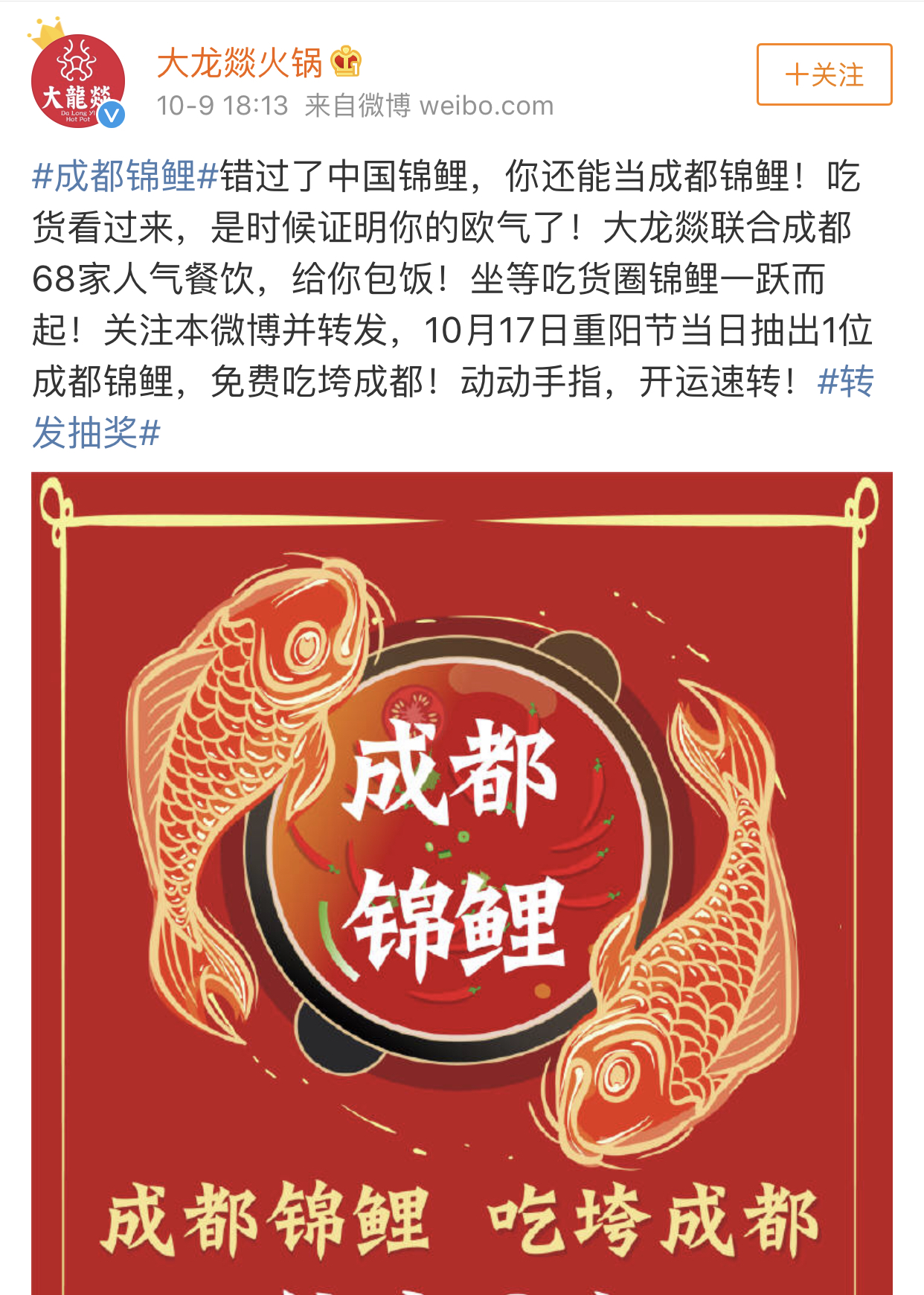 都是微博抽奖为什么支付宝锦鲤能抽出4亿互动量