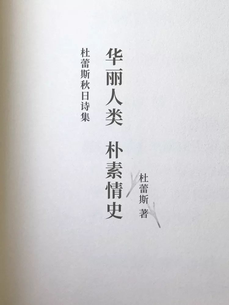 《杜蕾斯秋日诗集》完整版:华丽人类,朴素情史