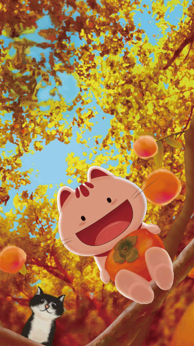 小招喵圈粉记一只猫的2018年终总结