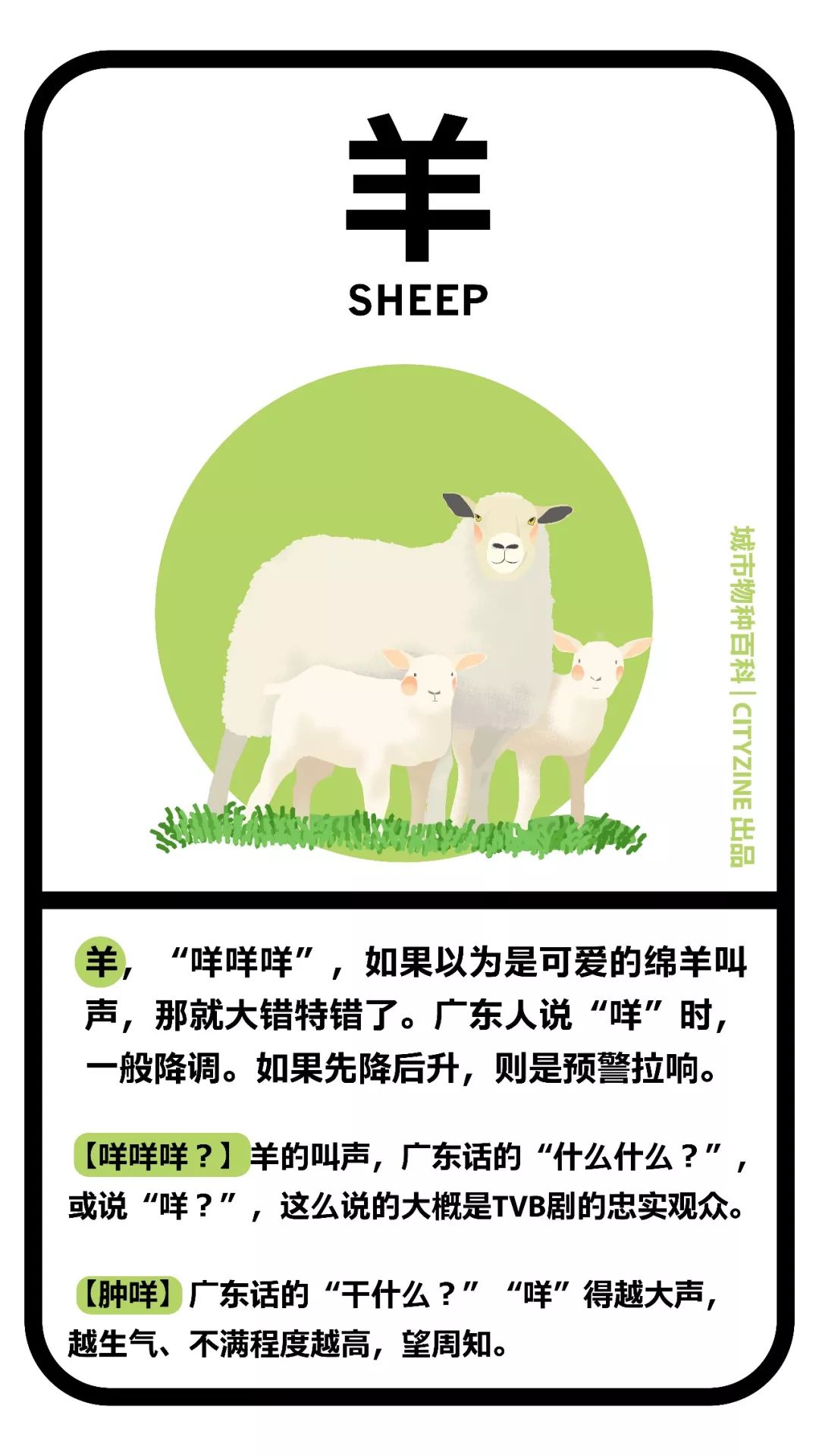 都是成年人,说话要这么「禽兽」么? - 数英