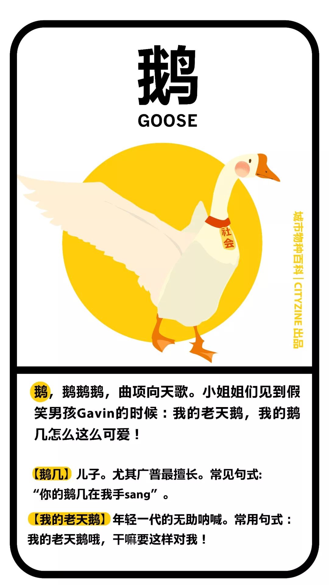 都是成年人,说话要这么「禽兽」么? - 数英