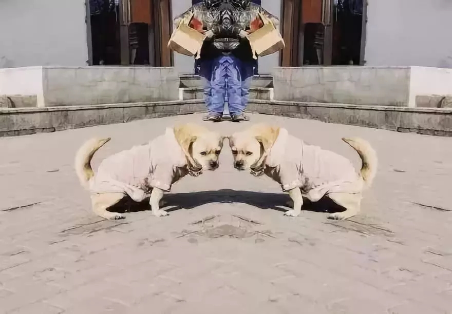 收藏!即将风靡 2019 的十大设计神器 收藏!即将风靡 2019 的十大设计神器