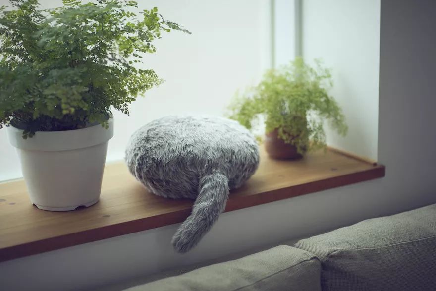 听力AC为什么02018日本GOOD DESIGN BEST100发布（图文完整版）_https://www.jmylbn.com_新闻资讯_第21张