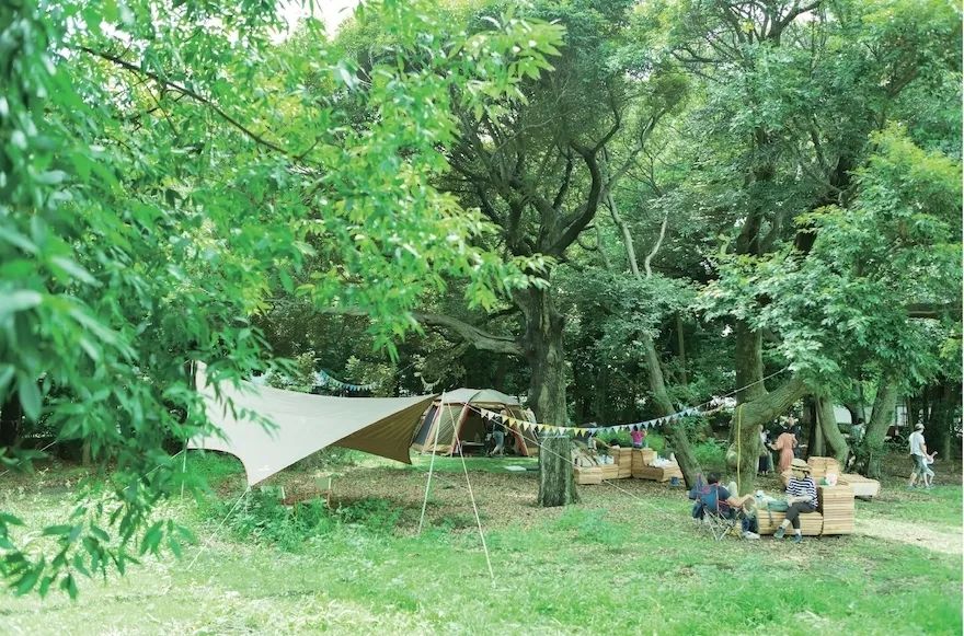 听力AC为什么02018日本GOOD DESIGN BEST100发布（图文完整版）_https://www.jmylbn.com_新闻资讯_第166张