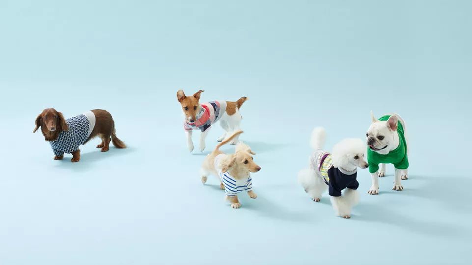 听力AC为什么02018日本GOOD DESIGN BEST100发布（图文完整版）_https://www.jmylbn.com_新闻资讯_第217张