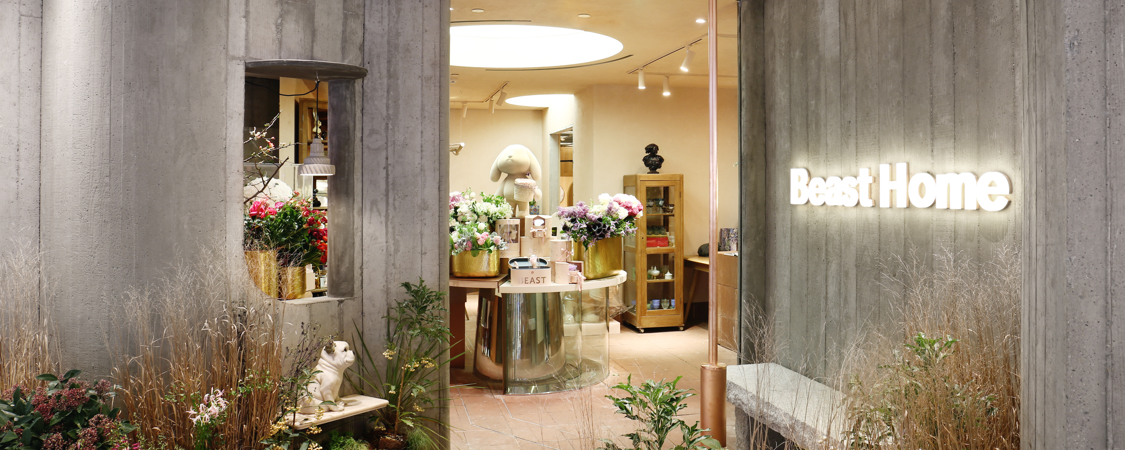 从1400万到16亿看野兽派的野蛮生长秘籍