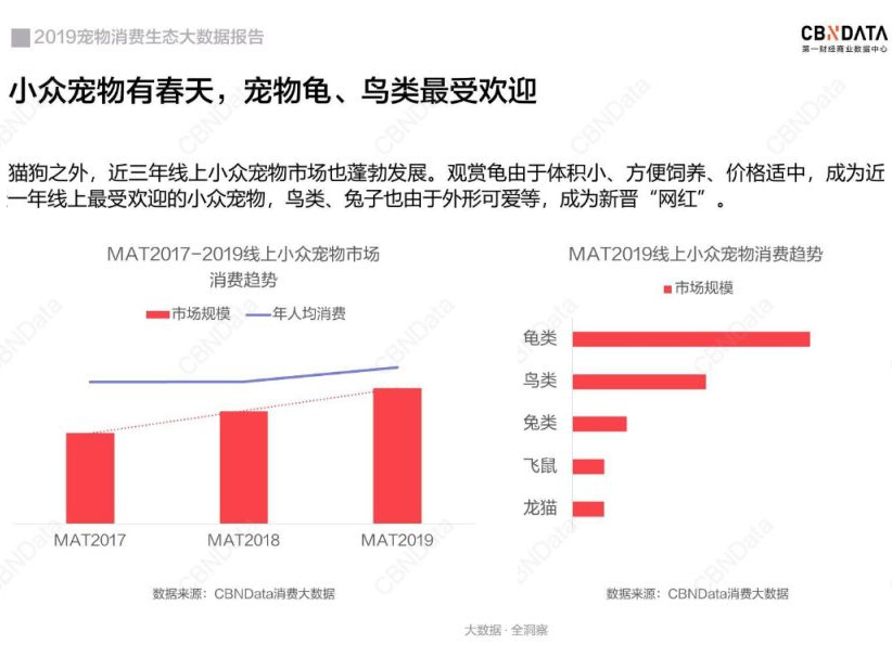 CBNData 发布《2019宠物消费生态大数据报告》，上海消费最高