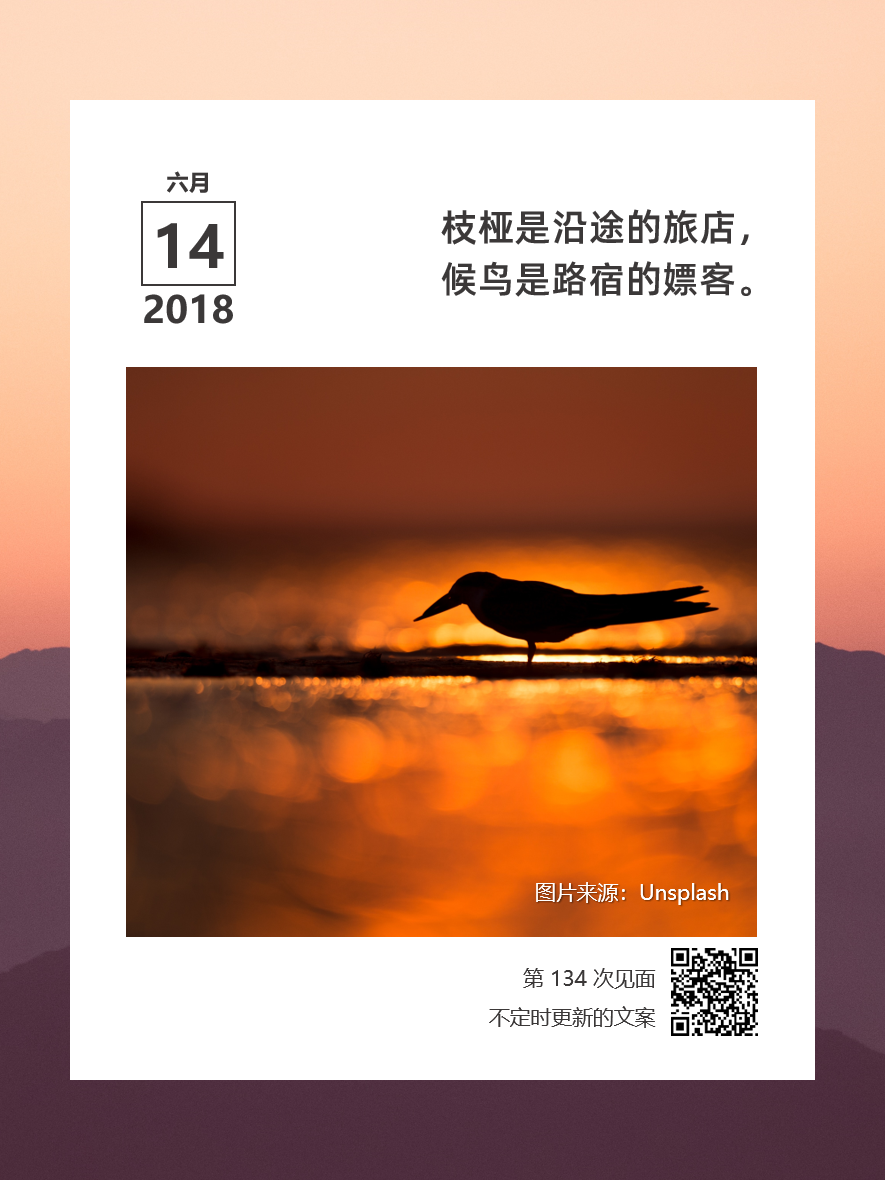 勉为其难的快乐,才是极大的痛苦 | 文案拼图0015 - 数英