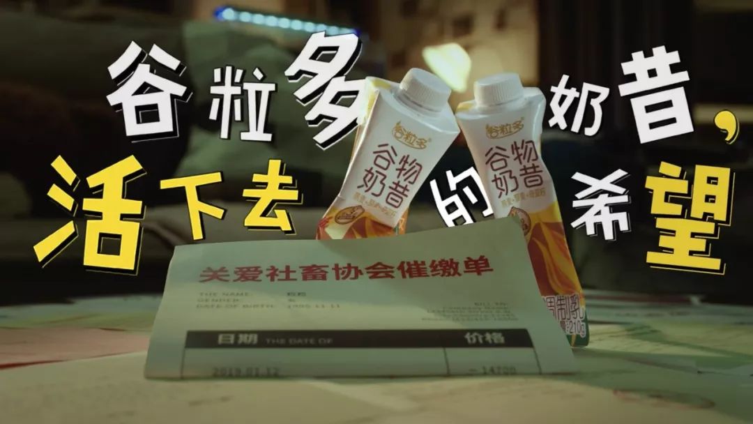 代餐市场成乳制品牌新战场谷粒多如何率先赢得社畜心