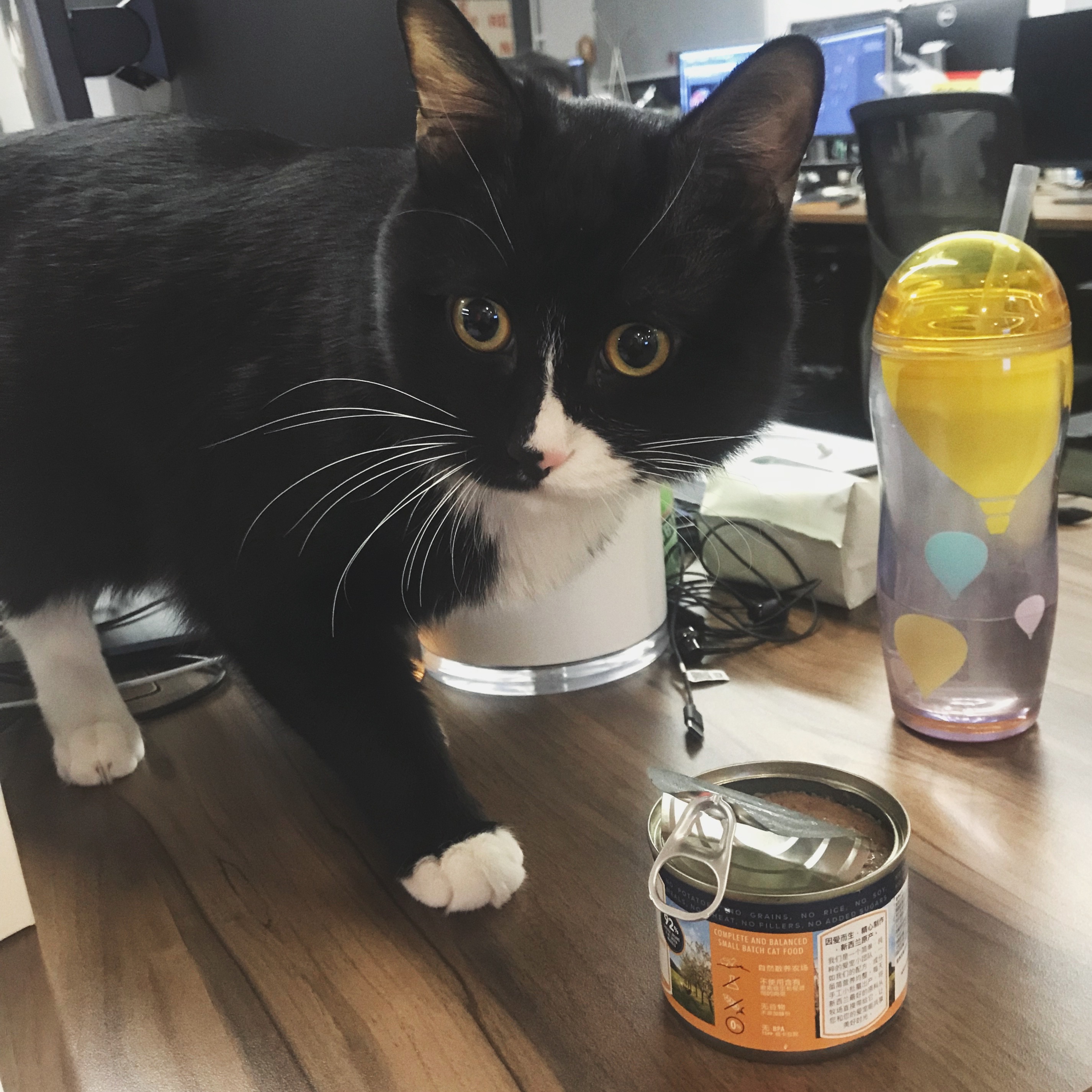 LxU 团伙记:十一月吃饱好过冬