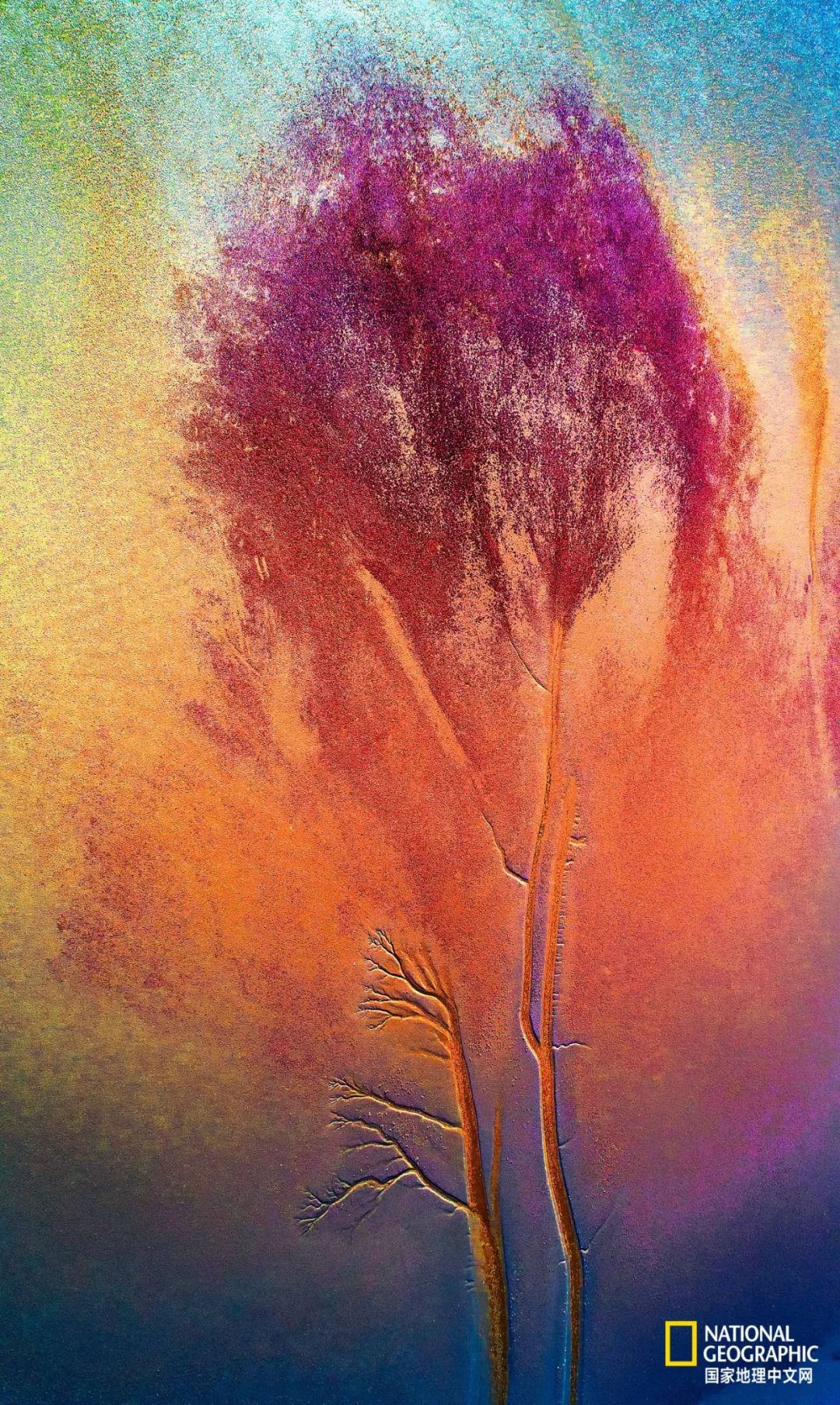 《大地的彩绘》 摄影:王中鹏