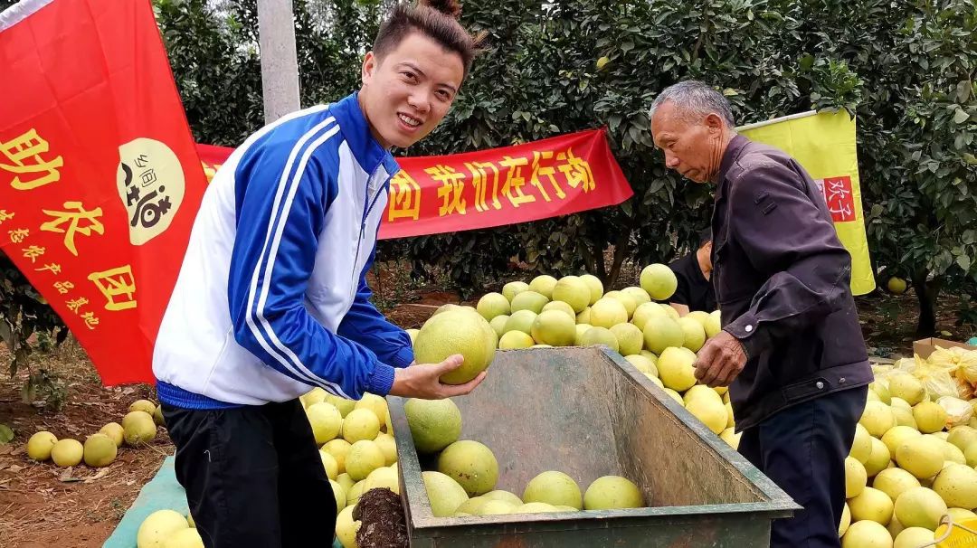 “三农自媒体鼻祖”是谁？我们在湖南找到了他