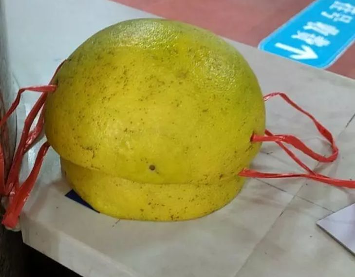 网友绞尽脑汁自制奇葩口罩,橘子,胸罩,尿片等纷纷出镜,既搞笑又心酸