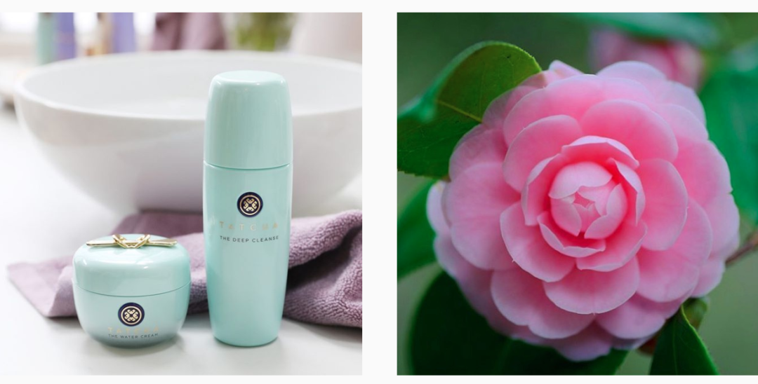 精致如艺术品的小众贵妇护肤品牌Tatcha的品牌哲学 - 数英