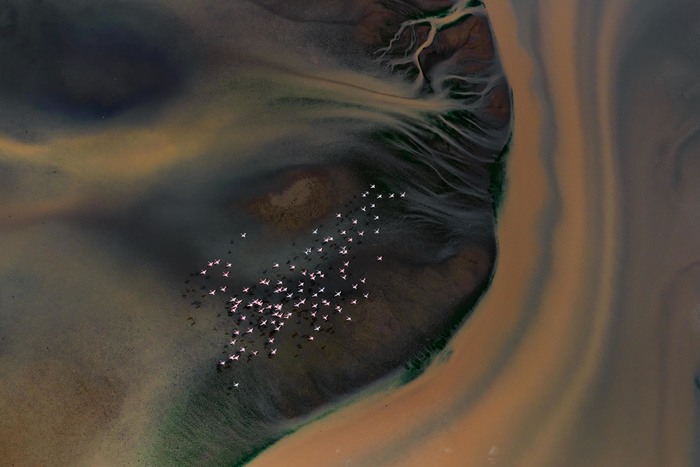 索尼2020世界500强排名_世界500强索尼公司到洋浦考察