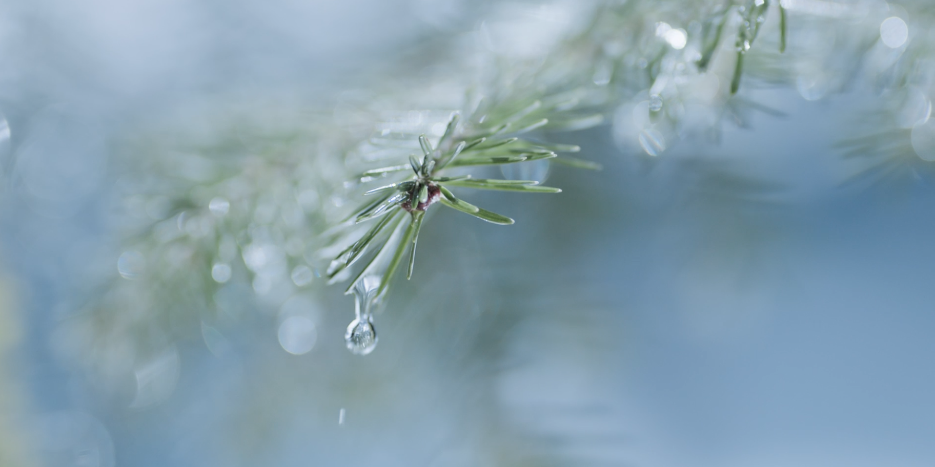 康师傅微纪录片：从一滴水，到大自然的馈赠