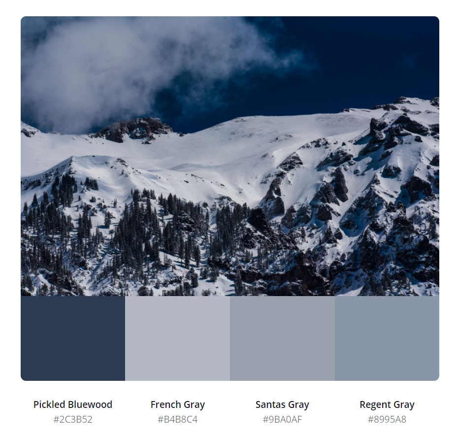 50张冬日配色模板插画浪漫深冬灵感大放送