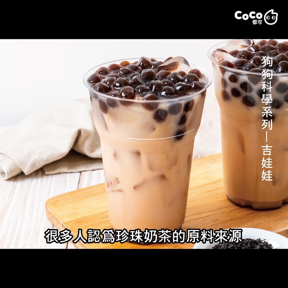 台湾CoCo玩谐音，吉娃娃和奶茶竟是这种关系 - 数英