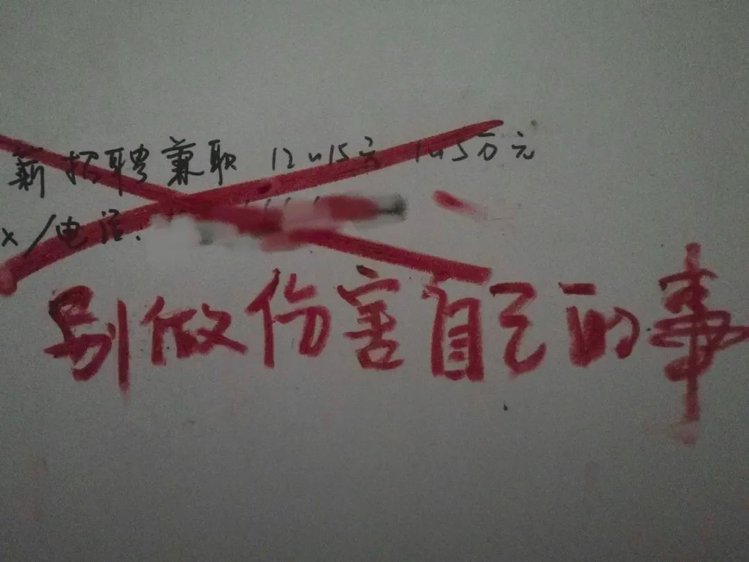有一个小众品牌,上线了“反代孕行动” - 数英