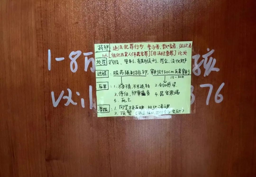 有一个小众品牌,上线了“反代孕行动” - 数英