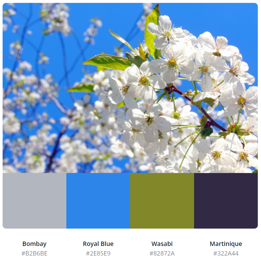 春天,温暖,和煦又明亮,总能勾起