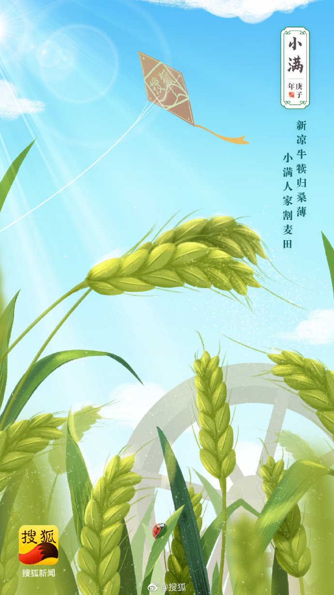 小满海报合集,炎夏气息钻出屏幕 - 数英