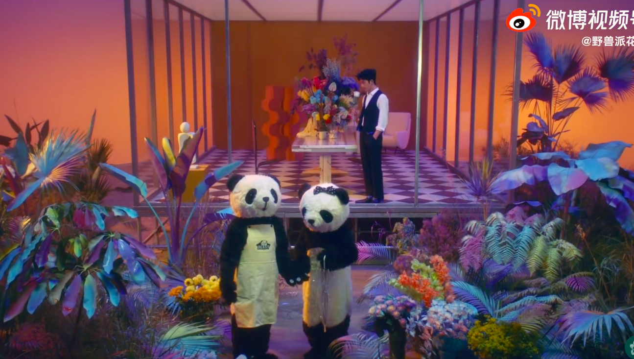 野兽派井柏然征集故事七夕熊猫花店开张